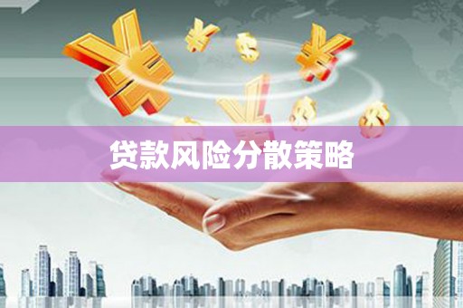 民权贷款风险分散策略
