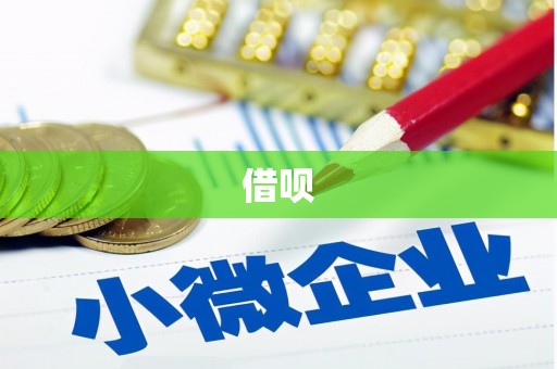 民权借呗
