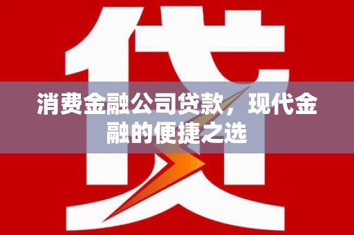 民权消费金融公司贷款，现代金融的便捷之选