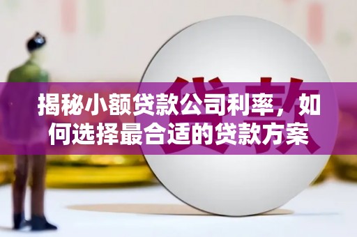 民权揭秘小额贷款公司利率，如何选择最合适的贷款方案