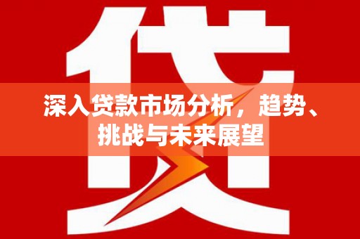 民权深入贷款市场分析，趋势、挑战与未来展望