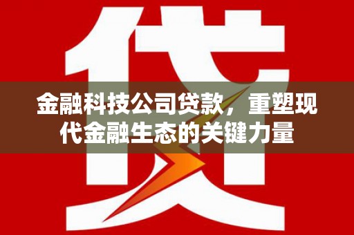 民权金融科技公司贷款，重塑现代金融生态的关键力量