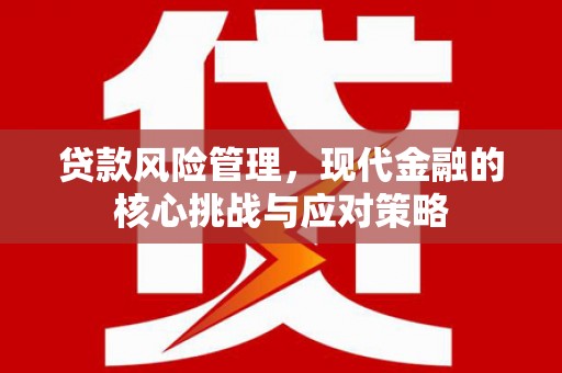 民权贷款风险管理，现代金融的核心挑战与应对策略
