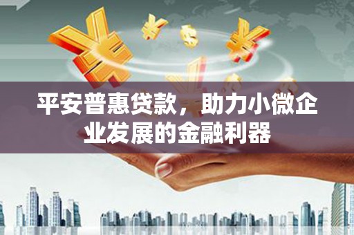 民权平安普惠贷款，助力小微企业发展的金融利器