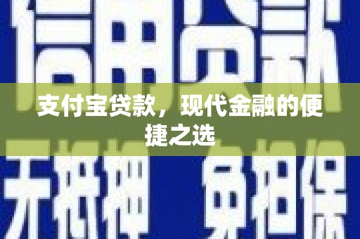 民权支付宝贷款，现代金融的便捷之选