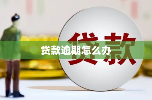 民权贷款逾期怎么办