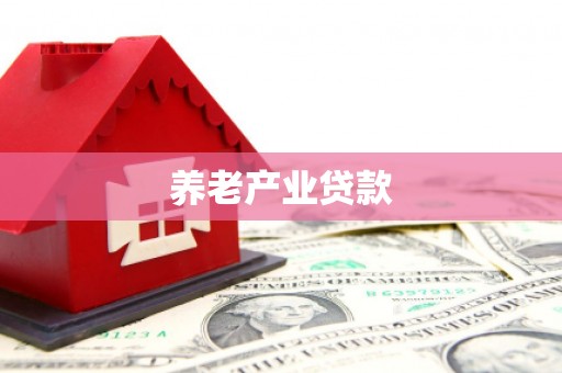 民权养老产业贷款