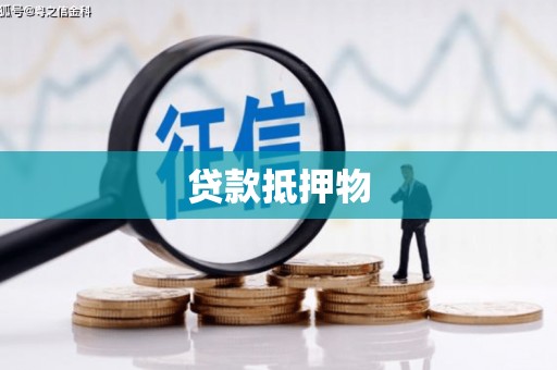 民权贷款抵押物