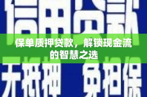 民权保单质押贷款，解锁现金流的智慧之选