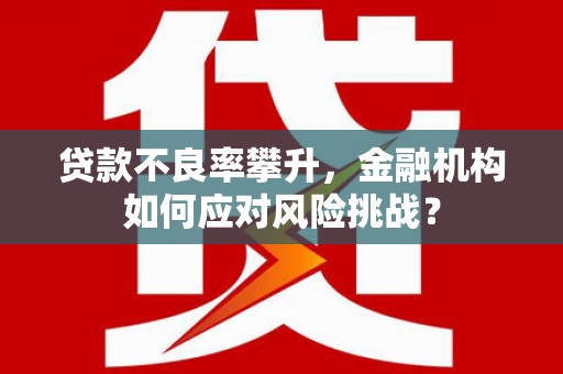 民权贷款不良率攀升，金融机构如何应对风险挑战？