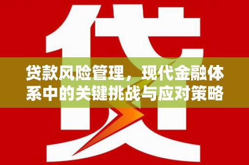 民权贷款风险管理，现代金融体系中的关键挑战与应对策略
