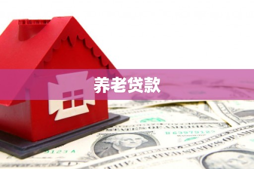 民权养老贷款