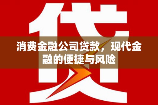 民权消费金融公司贷款，现代金融的便捷与风险