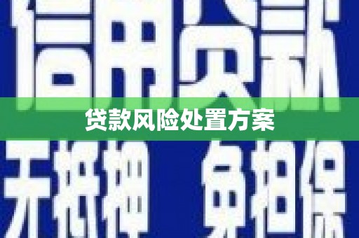 民权贷款风险处置方案
