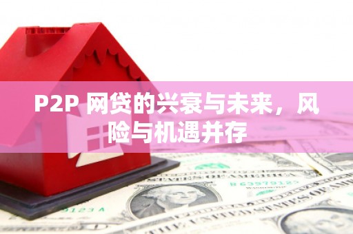 民权P2P 网贷的兴衰与未来，风险与机遇并存