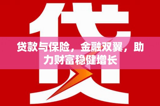 民权贷款与保险，金融双翼，助力财富稳健增长