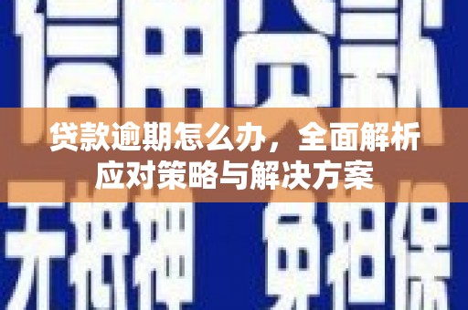 民权贷款逾期怎么办，全面解析应对策略与解决方案