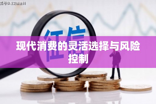 民权现代消费的灵活选择与风险控制