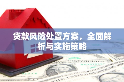 民权贷款风险处置方案，全面解析与实施策略
