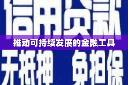 民权推动可持续发展的金融工具
