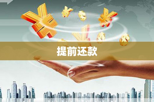 民权提前还款