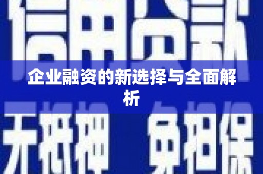 民权企业融资的新选择与全面解析