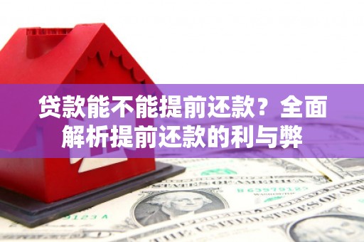 民权贷款能不能提前还款？全面解析提前还款的利与弊