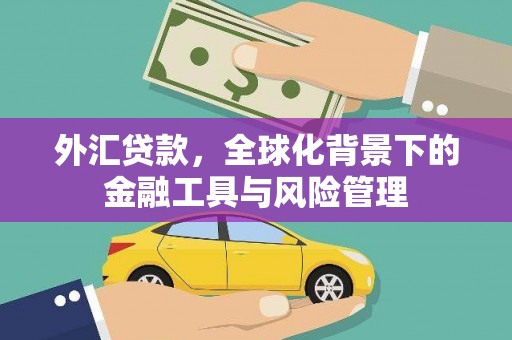 民权外汇贷款，全球化背景下的金融工具与风险管理