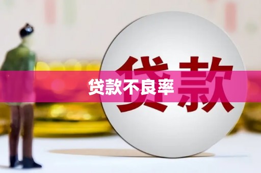 民权贷款不良率