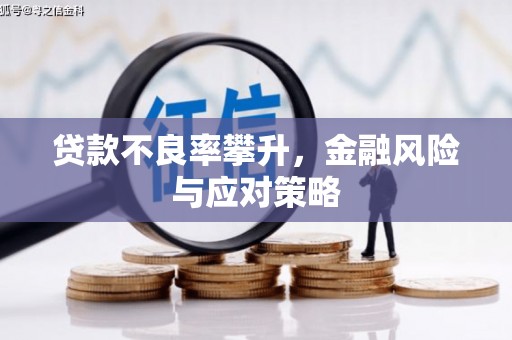 民权贷款不良率攀升，金融风险与应对策略